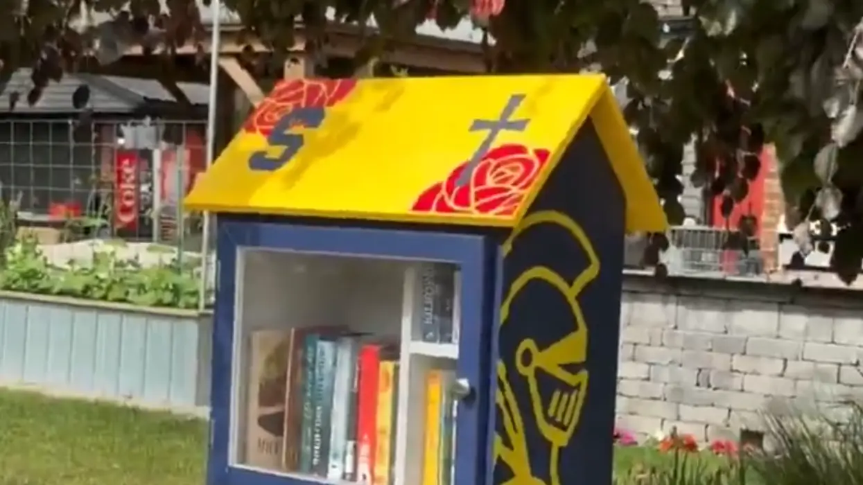 AWFL mom infests free neighborhood library with leftist propoganda, all over a single Trump flag