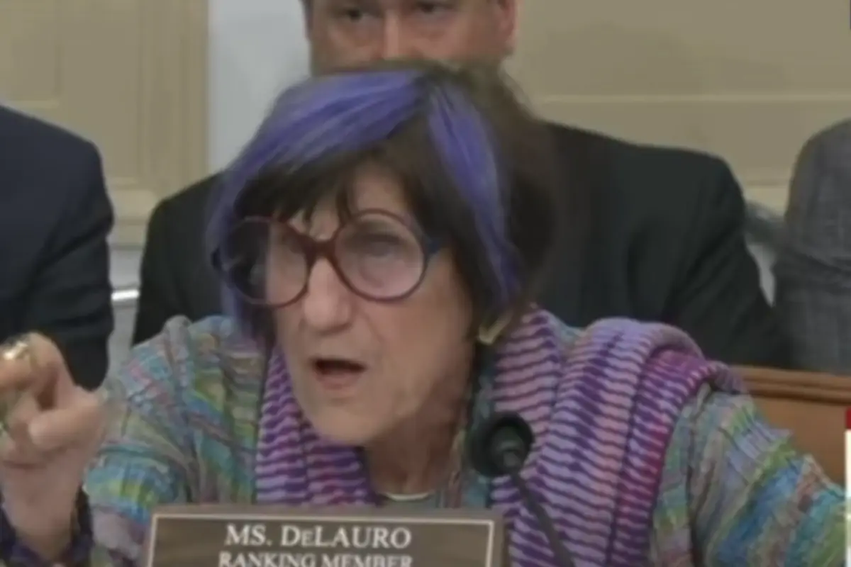 Purple-Haired democrat has hysterical hissy fit after Trump's DHS Chair puts her in her place over Biden's missing kids