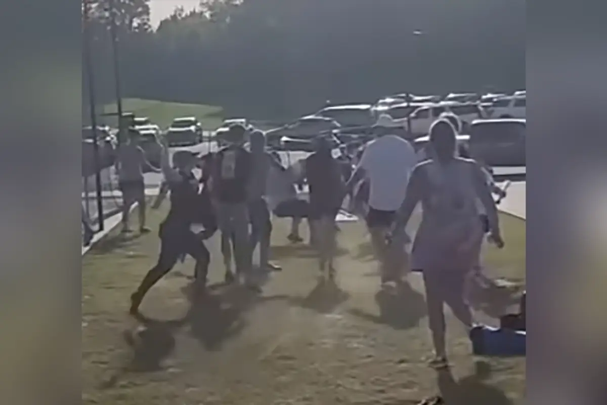 Chaos ensues as parents take part in America's pastime of brawling over a travel baseball game