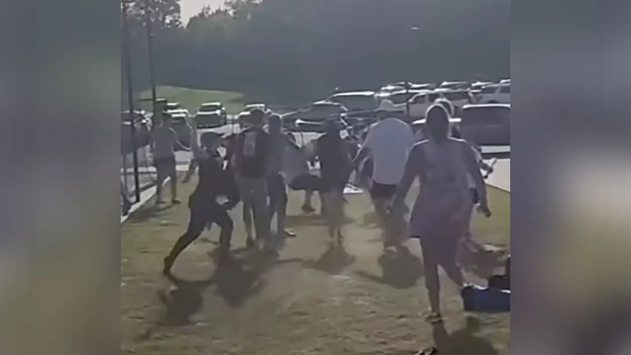 Chaos ensues as parents take part in America's pastime of brawling over a travel baseball game
