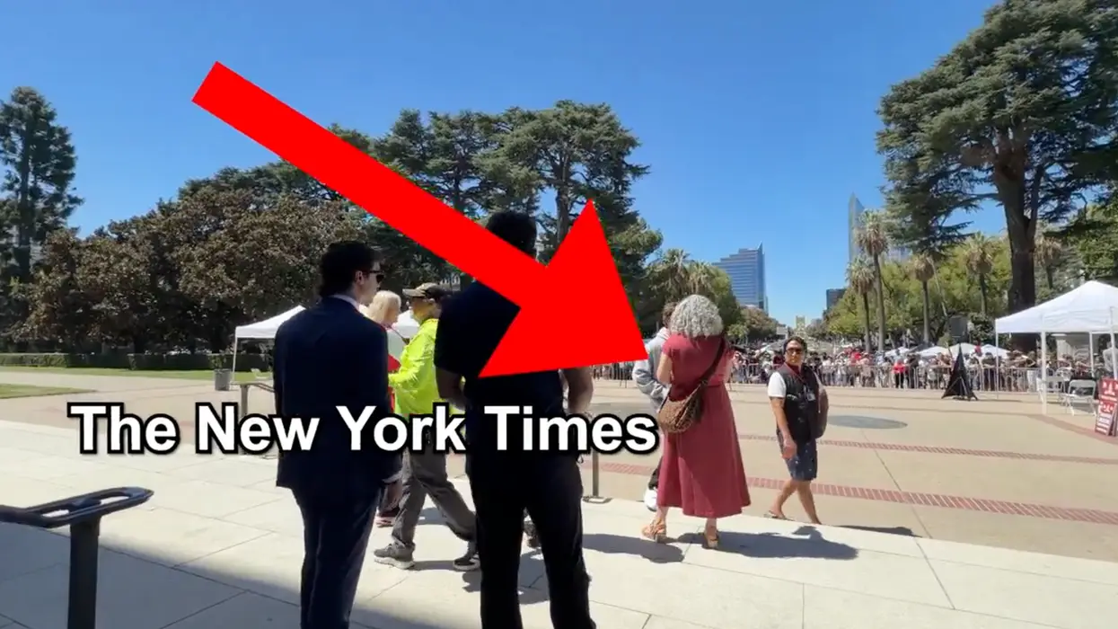 AWFL NYT reporter confronts Nick Shirley on "Stop Nick Shirley Act," but realizes it affects HER job too