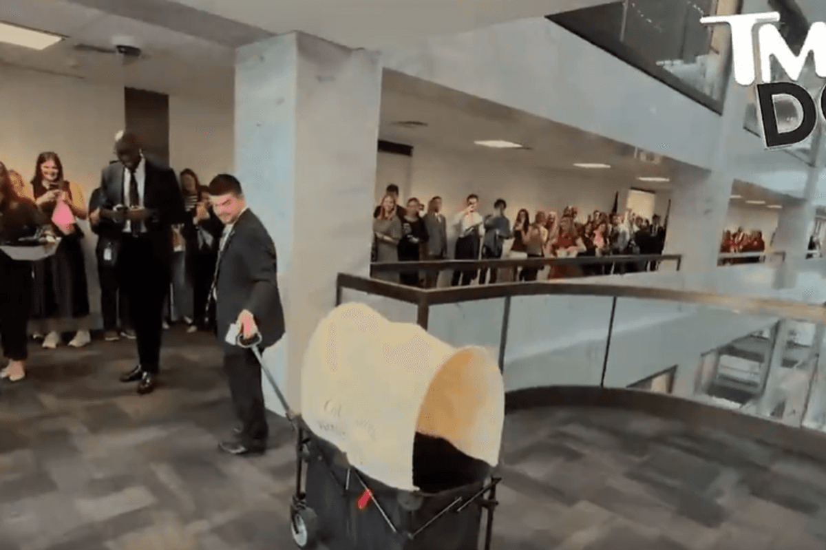 Senator throws birthday party for a dog instead of passing the SAVE Act, and the internet is pissed