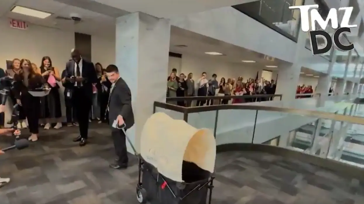 Senator throws birthday party for a dog instead of passing the SAVE Act, and the internet is pissed