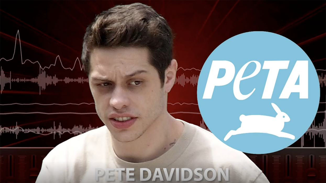 Pete Davison leaves obscene voice message for PETA Vice President: TMZ